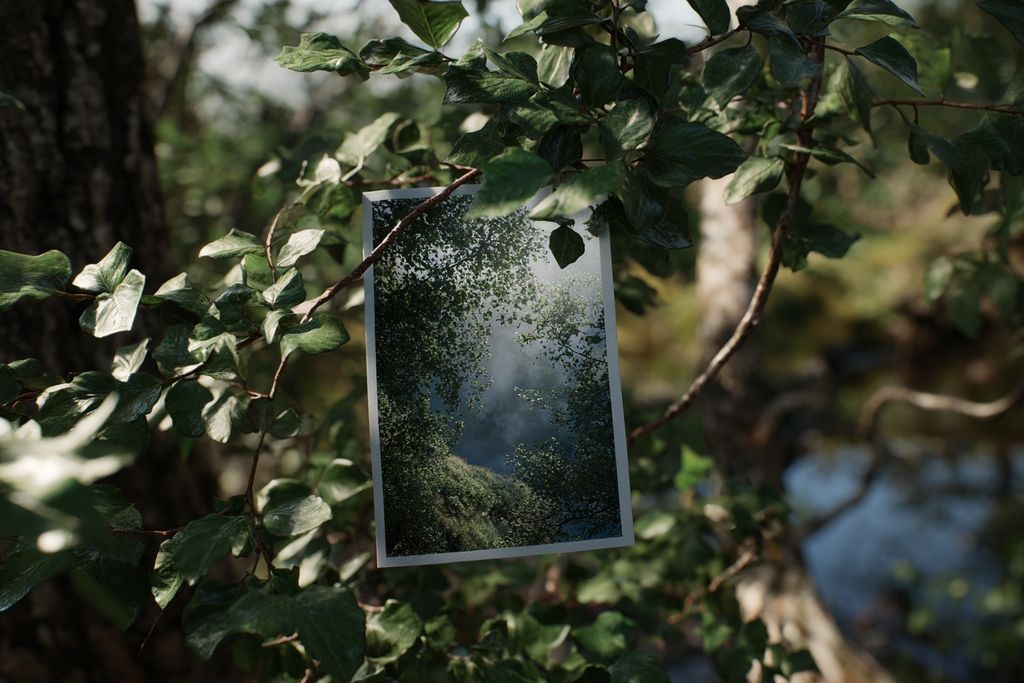 Collanol avis médical sur l’efficacité, la composition et les résultats pour les douleurs articulaires